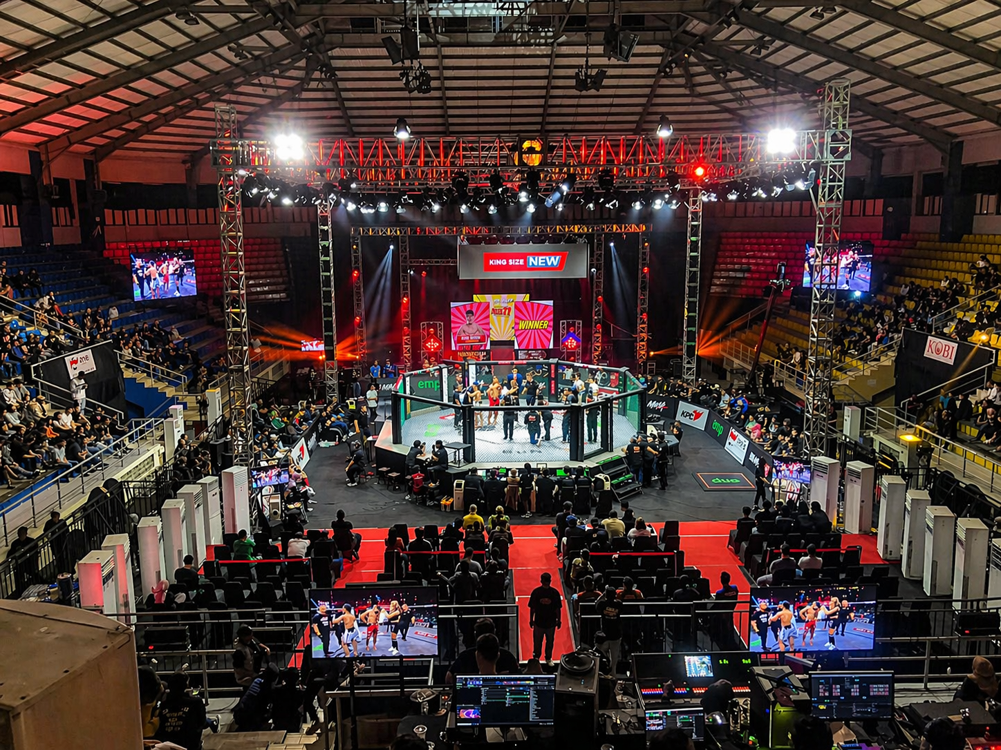COMBAT SPORTS